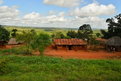 DSC_4369 (Large).JPG